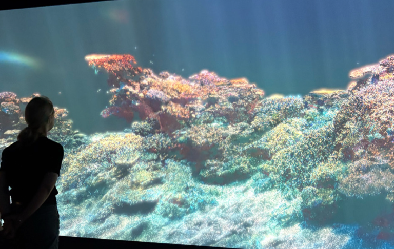 L'Île au Corail — Simon Rouby, projection panoramique sous-marine